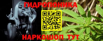 ешки Будённовск