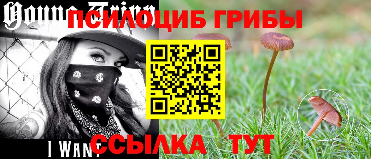 Киржач  Галлюциногенные грибы мухоморы  Вход с VPN 